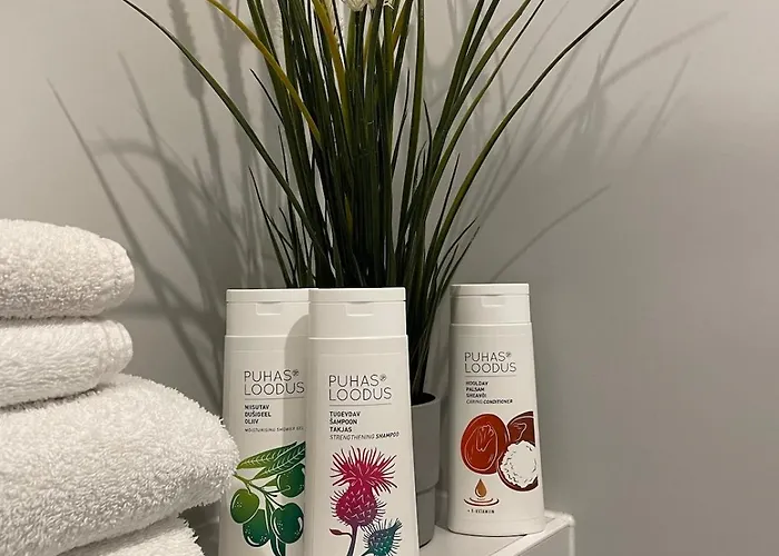 Cozy Center With Gym & Terrace Appartement Tallinn